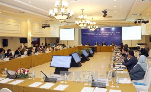 Working groups and APEC Sub-Committees continue meetings - ảnh 1